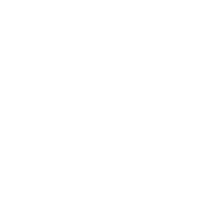 Surgeries Performed+